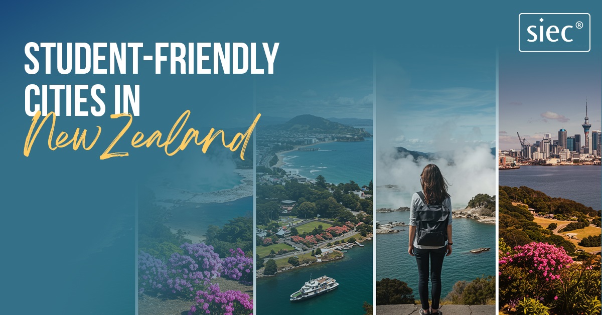 Student-Friendly Cities in New Zealand | Study in New Zealand