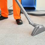 Wherieving Profile Picture