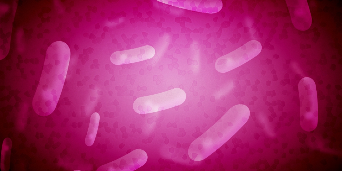 The Rise of Private Plane Flights: Tendencies, Benefits, And Environmental Considerations